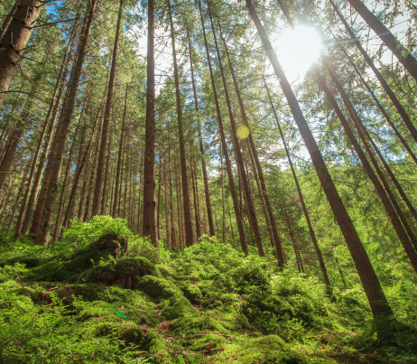 Фото окружения