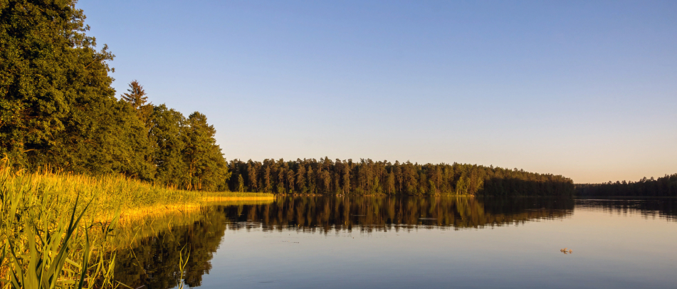 Фото окружения