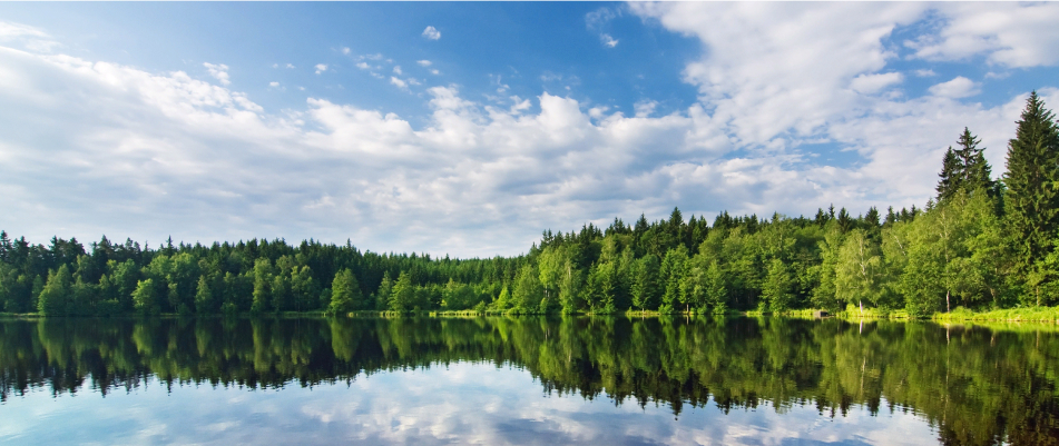 Фото окружения