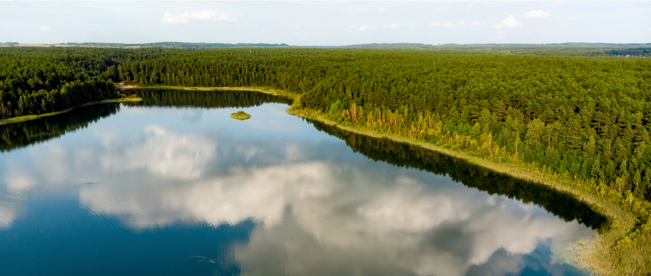 Фото окружения