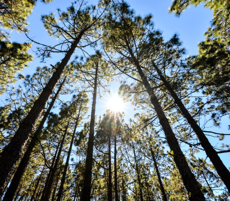 Фото окружения