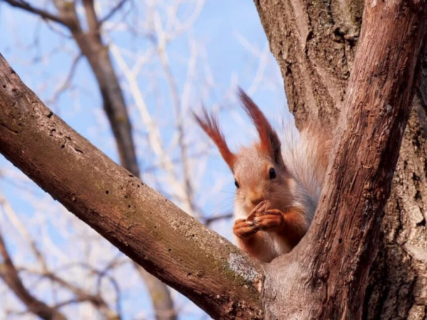 Фото галлерея