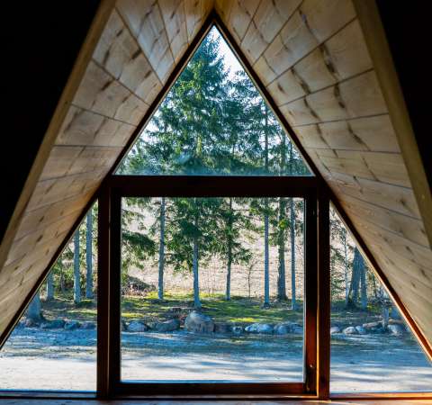 Фото галлерея