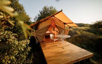 Фото галлерея