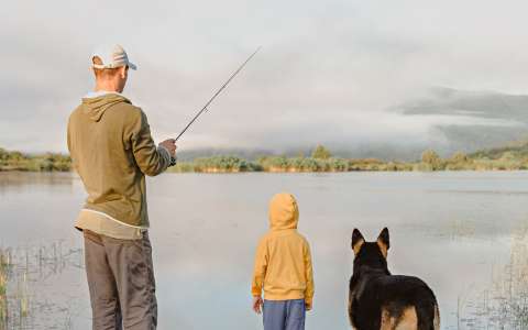 Фото галлерея