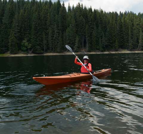 Фото галлерея